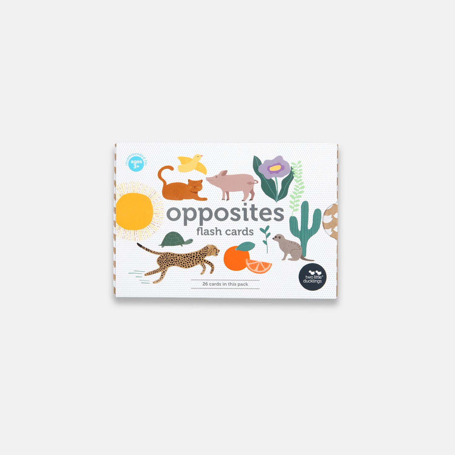 Two Little Ducklings Flash Cards Opposites | Tiny Sprout