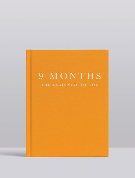 Write To Me Pregnancy Journal 9 Months The Beginning Of You