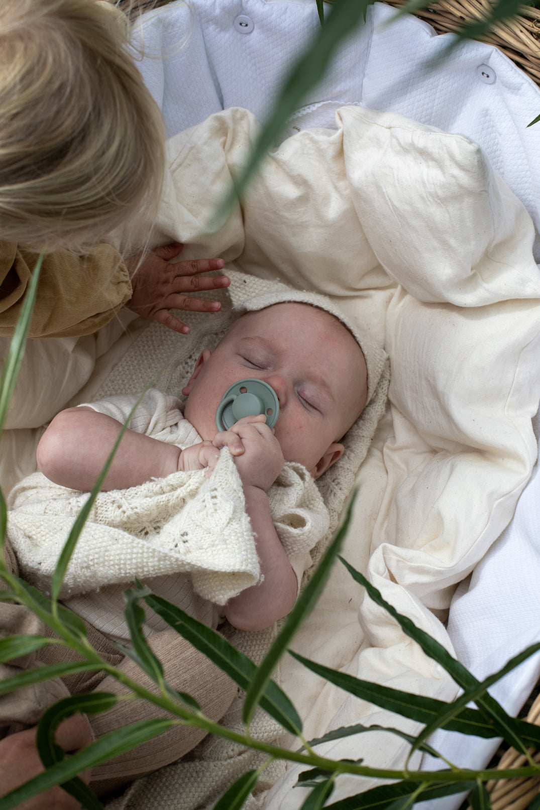 BIBS Dummies De Lux 2 Pack Ivory Sage Tiny Sprout